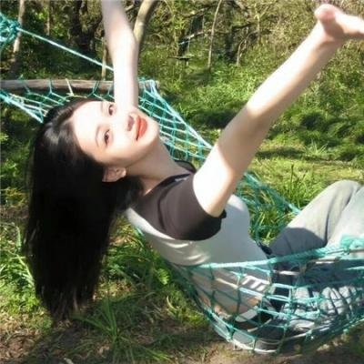 如果德川家康成为总理大臣